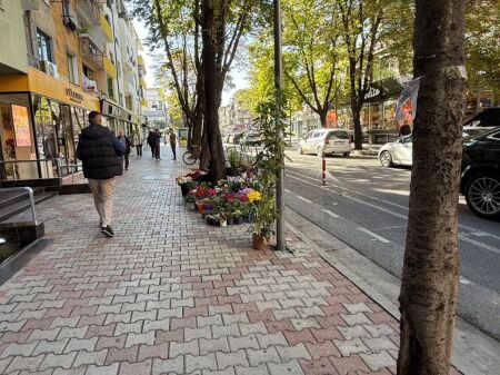 DYQAN ME QERA 310 M2 SHESHI WILLSON 8.000 EURO