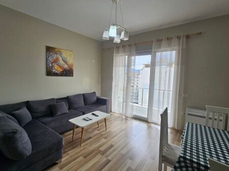 Apartment 1+1 for rent near Partizani High School, Red School