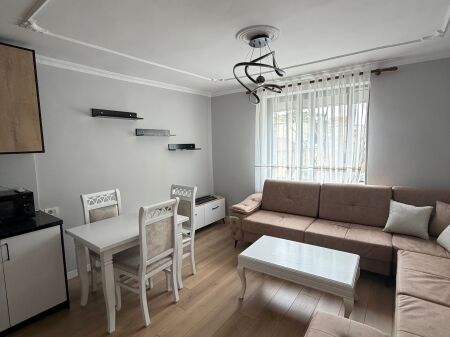 Rent, Apartment 1+1, 21 Dhjetori.