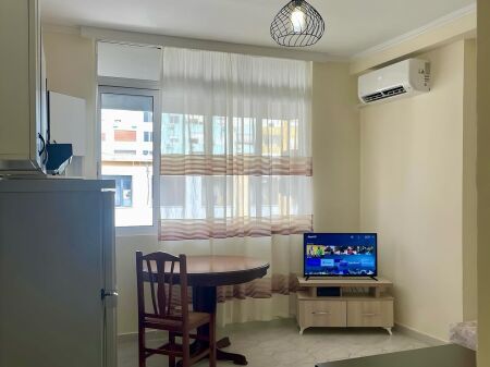 Apartment 1+1 for rent near Willson Square