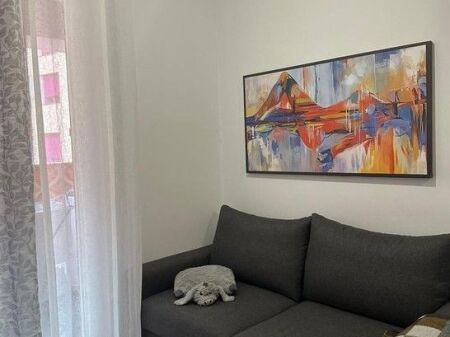 Appartamento 1+1 In Affitto a Ali Demi