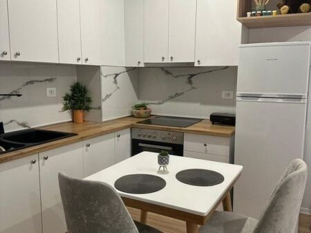 We rent a 1+1 apartment in Ali Demi, Tirana