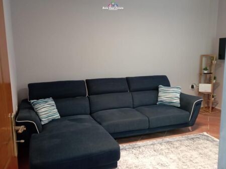 Apartament Me Qera 1+1 Tek Mine Peza (ID B211426) Tirane