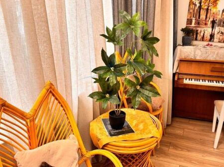 Rent, Apartment 3+1+2, B.Curri Boulevard, Tirana