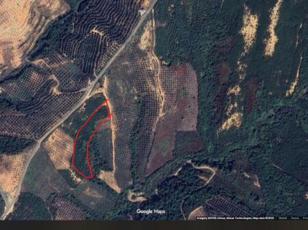 Shitet tokë në Qinam – Mundësi shumë e mirë investimi 10.000m2 ( 50.000 euro )