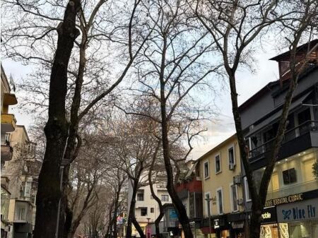 Rent, Business Premises, Myslym Shyri