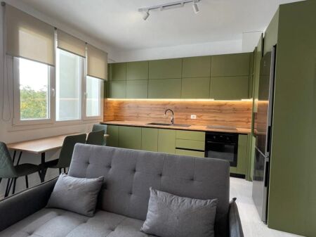 🏢 Appartamento 2+1 in affitto a River Residence