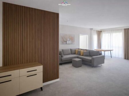 Appartamento In Affitto 1+1 Presso Dritan Hoxha ( ID B2101530) Tirana