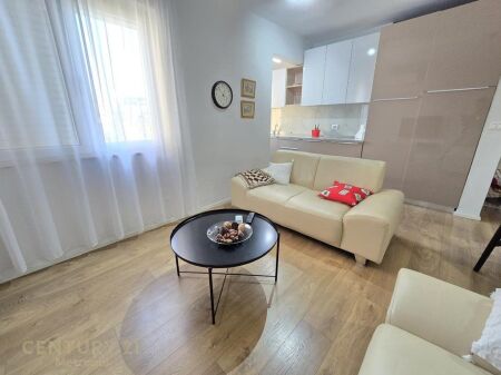 Apartment 1+1 For Rent near the Ballet School, Tirana