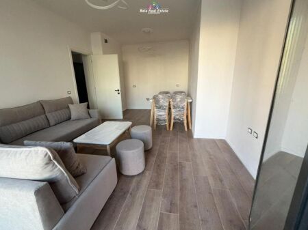 Apartment For Rent 1+1 Near Aviation Field (ID B2101533) Tirana