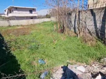 Toke per shitje, Kashar!