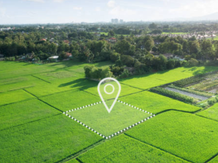 TOKË PËR SHITJE NË Vorë