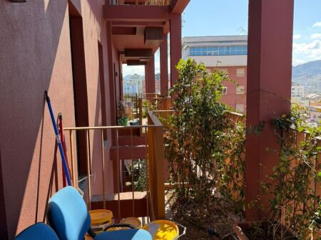 Ambient Biznesi (Zyre) Per Qira Tek Garden Building!!