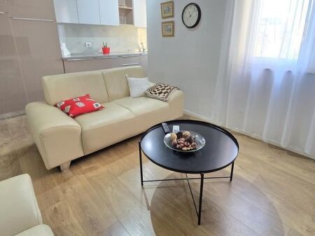 Apartament 1+1 Me Qira tek Shkolla e Baletit, Tiranë