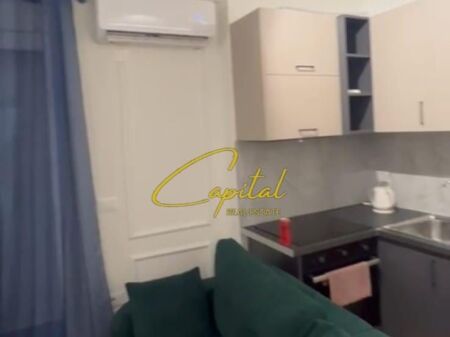 APARTMENT FOR RENT 1+1 SELITE 55,000 LEKE