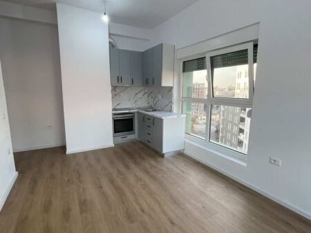 Apartment 1+1 for rent