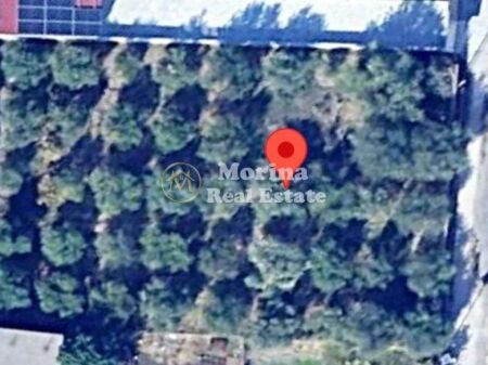 Shitje | Tokë / Truall | Fier | 45500 €