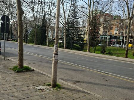 SHITET DYQAN PRANE VASIL SHANTOS. 29 M2