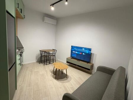 Apartment 1+1 for rent at River Residence in Astir.