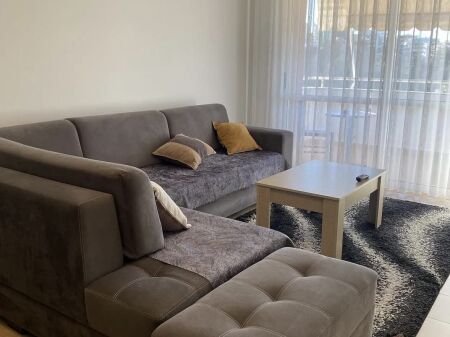 1+1,arredato vicino al giardino botanico,sulla strada,750 euro