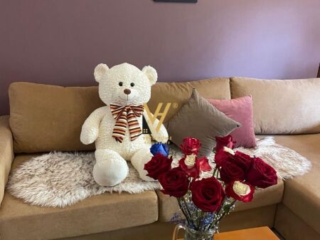 APPARTAMENTO 1+1+BLK IN AFFITTO IN VIA ELBASAN 580 EURO