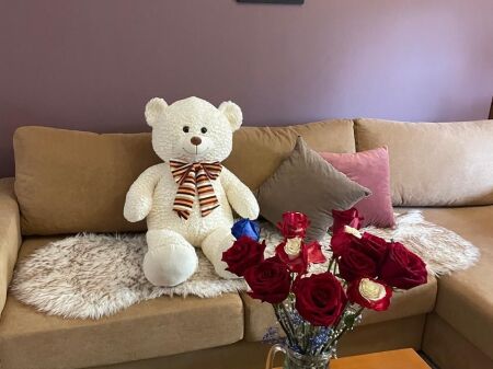 🏡 Apartment for Rent Near Air Albania Stadium on Elbasani Street, Ideal for Airbnb