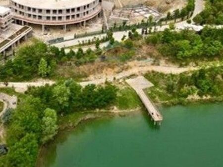 Shitet, Vile, Swan Residence, Farke