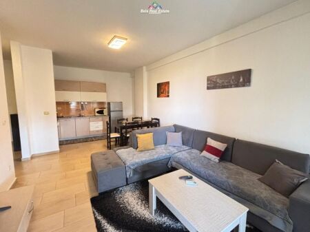 Apartament Me Qera 1+1 Tek Kopshti Botanik (ID B2101548) Tirane