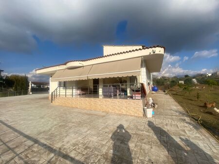 Shitet, Vile, Tapize, Kruje Empire65368