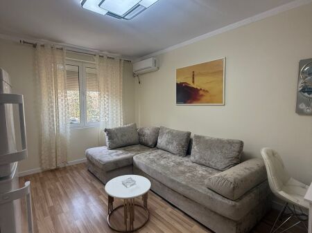 Apartment 1+1 for rent at Dinamo Stadium