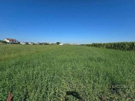 Shitet, Tokë, Vorë, Tiranë.