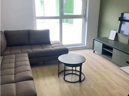 Apartament 1+1 me Qira, Kadiu