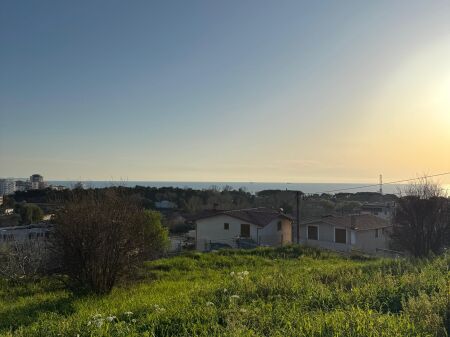 Shitet Toke Me Pamje Fantastike Deti Shkallnur