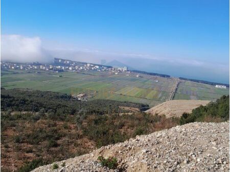 Shitet , Toke , Kavaje