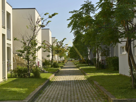 Talea Coast, Tale, Lezhë