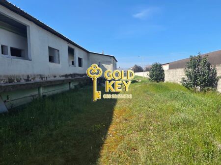 🏭 SHITEN KAPANONE 🏭