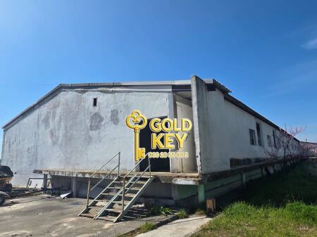 🏭 SHITEN KAPANONE 🏭