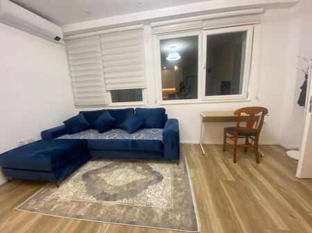 Tirane, apartment 1+1 for rent Floor 10, 64 m² 700 € (Ali Demi)