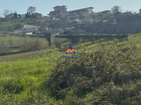SHITET TOKE 10000M2 "PRANE AUTOSTRADES TIRANE DURRES ,RRUGA MAMINAS SUKTH" 1.200.000 EURO