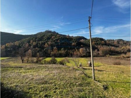 Shitet , Toke , Lanabregas , Dajt