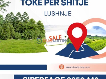 TOKE PER SHITJE NE LUSHNJE!