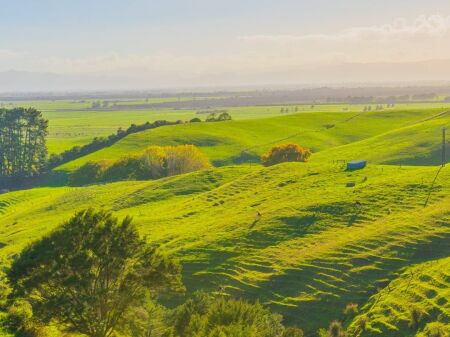 SHITET TOKE NE FARKE TE VOGEL 283.000 EURO
