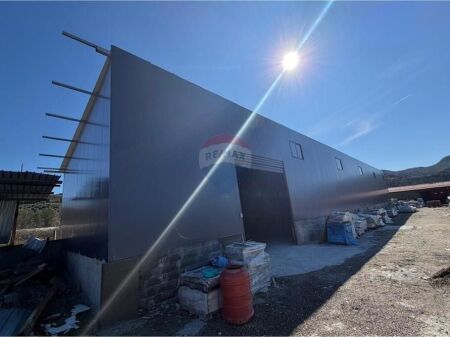 Magazine/Kapanon-For Rent-Peze Helmes,Tirane