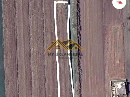 SHITET TOKE NE SPILLE,KAVAJE!