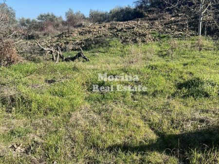 Shitje | Tokë / Truall | Ndroq | 140000 €