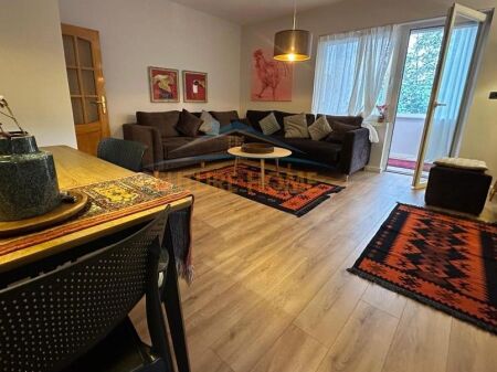 Rent, Apartment 1+1 Petro Nini!