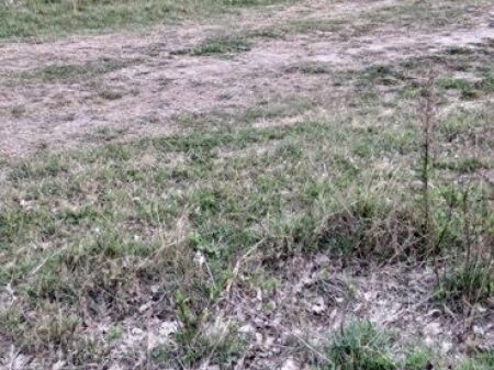 Ishull Lezhë shitet tokë