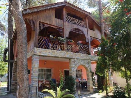 SHESIM VILE NE GOLEM!