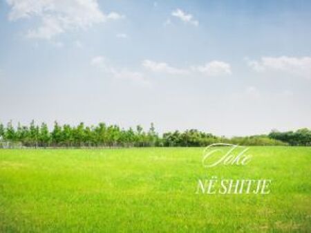 SHITET TOKE NE FARKE 5750 M2
