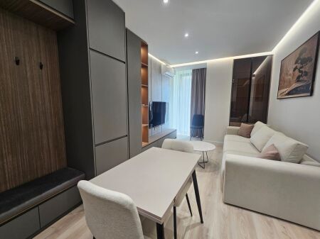 Apartament 1+1 per qira te Rruga Mine Peza